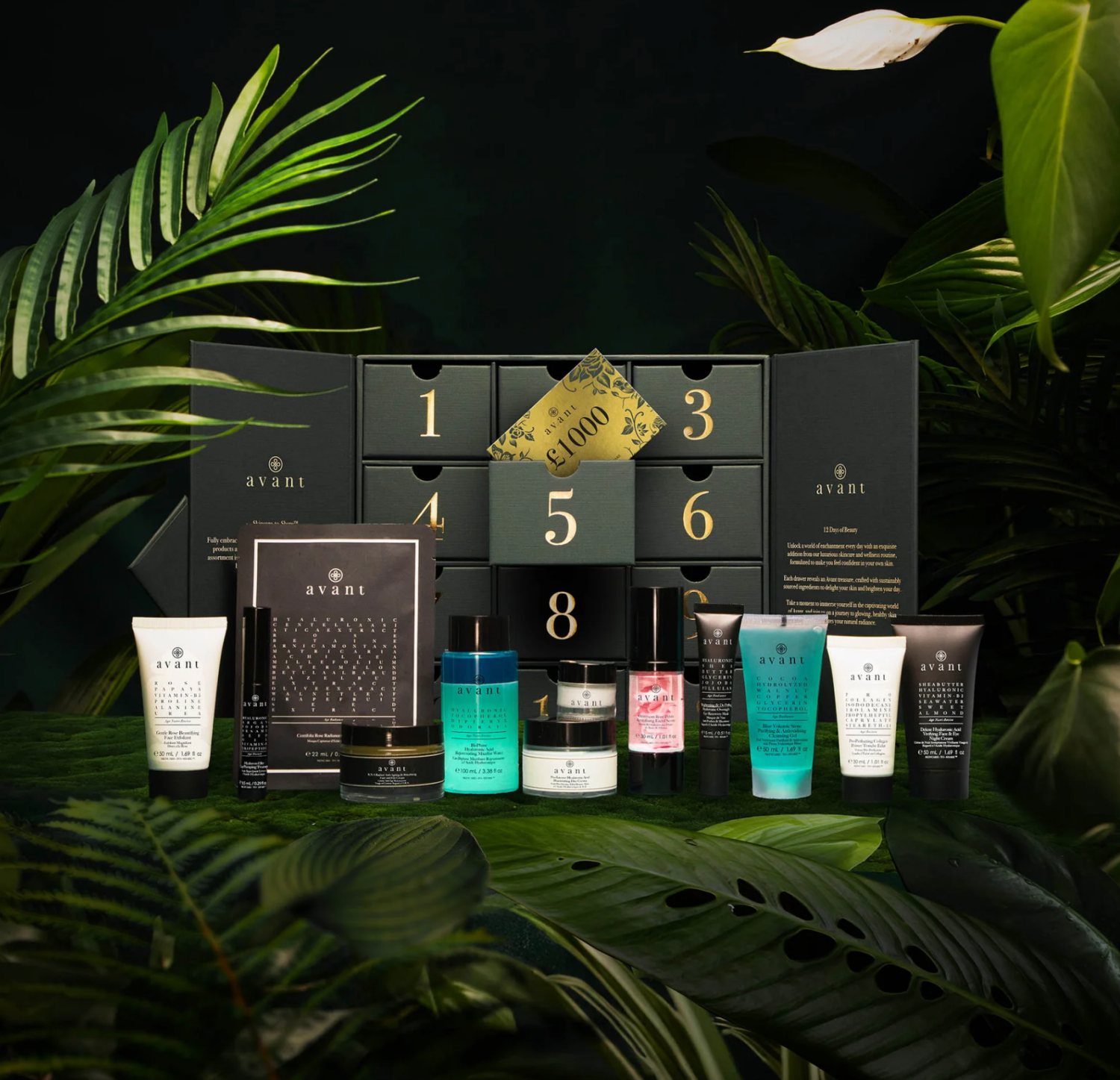 Avant-advent-calendar-2025